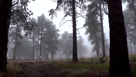 truck driving in a foggy mountain road