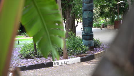 Straßenschild-„Affenallee“-Im-Zoo-Von-Johannesburg,-Langsamer-Schwenk-Von-Links-Nach-Rechts