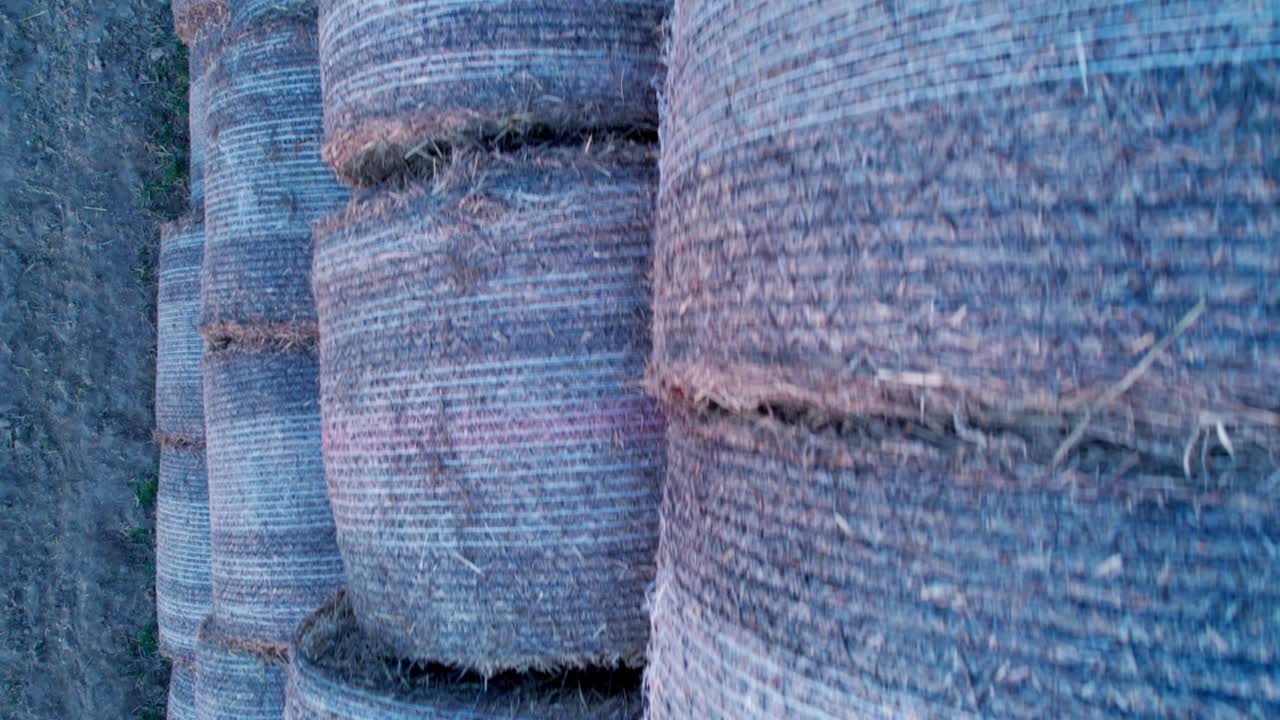 las balas de heno, apiladas en una pirámide, secas en el campo al atardecer.