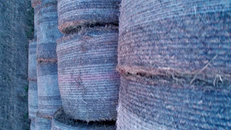 the hay bales, stacked in a pyramid, dry in the field at sunset.