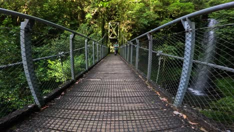 a man walks across a suspension bridge in dorrigo national park, surrounded by lush rainforest and cascading waterfalls