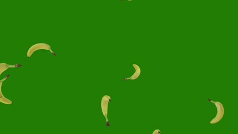 fresh bananas falling down on green background. realistic 3d render