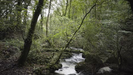 Rocky-River-Flows-Through-The-Historic-Kennall-Vale-Nature-Reserve-In-Ponsanooth,-England