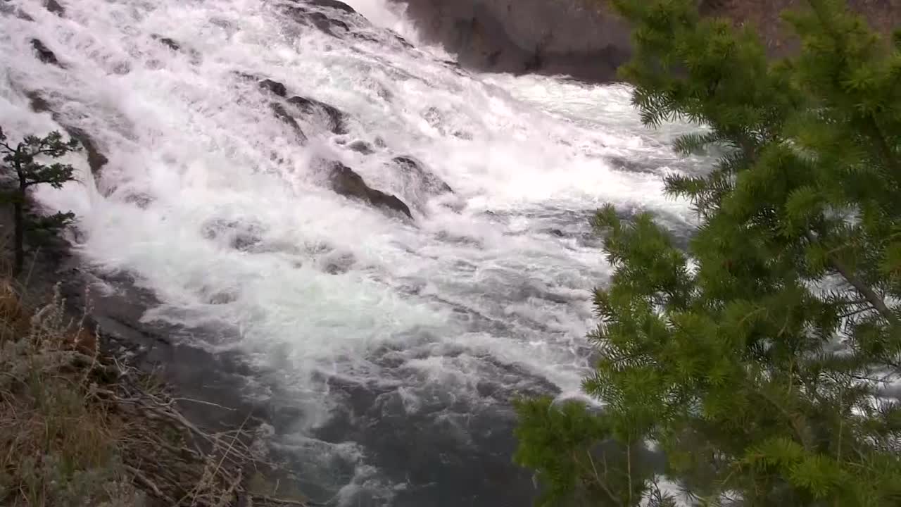 White water rapids cascading down a mountain gorge in early autumn
