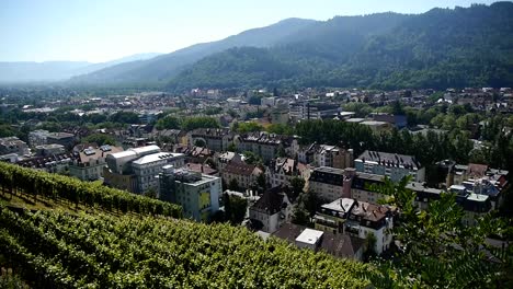 vista de friburgo desde el schlossberg, viñedos en primer plano, día soleado