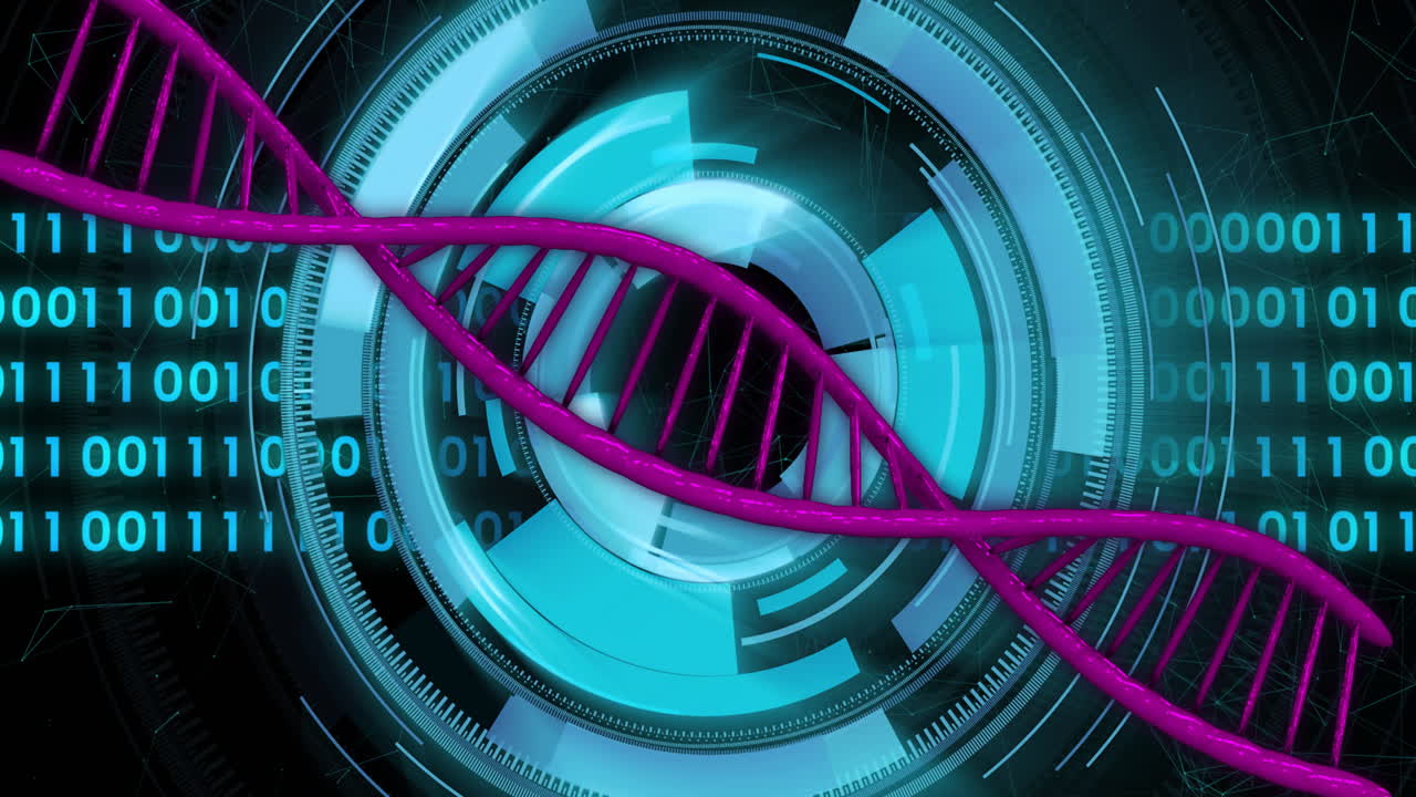 DNA strand and digital interface, scientific data processing animation