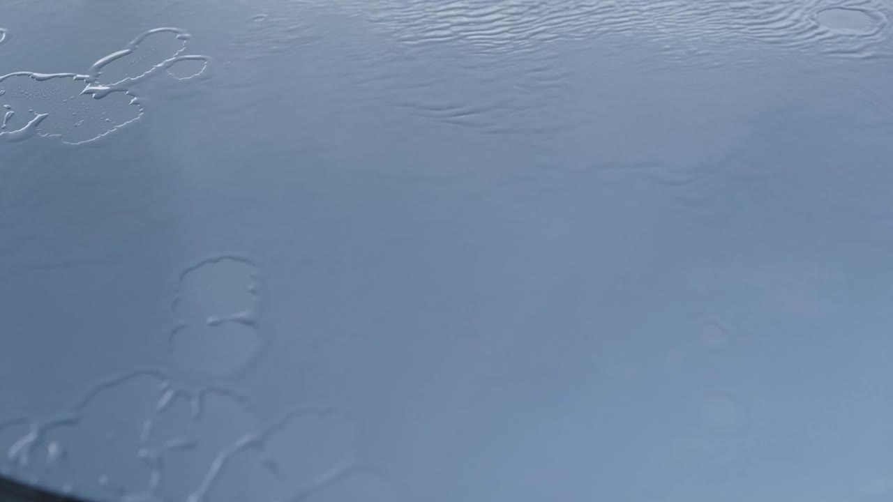 은색 파란색 자동차 후드를 물로  ⁇ 는 것