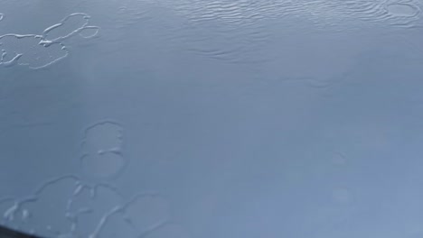 rinsing silver blue car hood with water