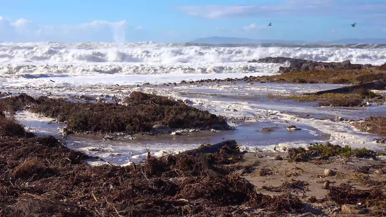 enormes olas rompen en una playa de california durante una gran tormenta 1