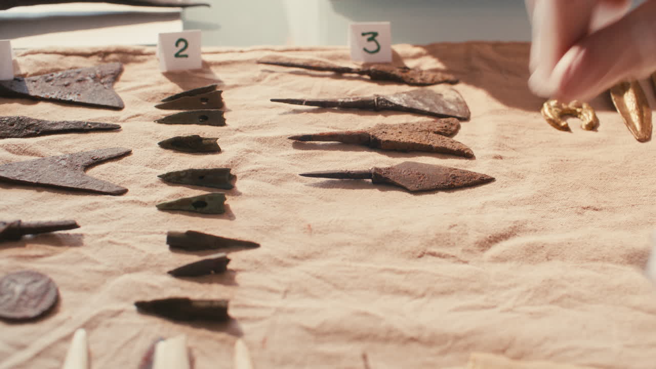 고고학자 의 장갑 을 착용 한 손 이 역사적 인 유물 들 을 천 에 놓고 있다