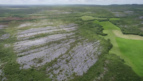 la piedra estéril y el exuberante prado de burren irlanda