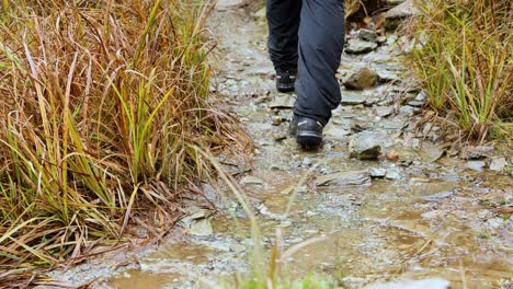 a hiker navigates a rocky, wet path surrounded by tall grass in queenstown. overcast lighting enhances the natural setting