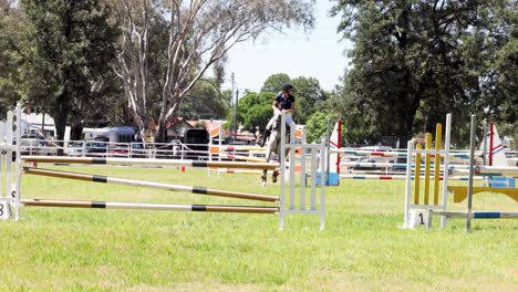 horse and rider navigating a show jumping course.