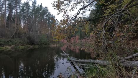 Nelku-Rote-Sandsteinfelsen-Am-Fluss-Salaca-Im-Naturpark-Skanaiskalns-In-Mazsalaca-In-Lettland,-Herbstzeit