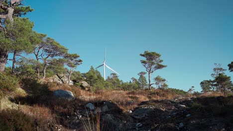 Hildremsvatnet,-Trondelag,-Norwegen-–-Blick-Auf-Eine-Windmühle-Inmitten-Grüner-Umgebung-–-Weitwinkelaufnahme