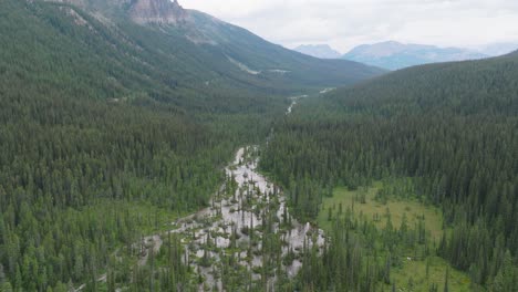 órbita-Aérea-Del-Río-Que-Fluye-Entre-Un-Denso-Bosque-De-Pinos,-Montañas-Rocosas-Canadienses-En-El-Parque-Nacional-De-Banff,-Alberta,-Canadá