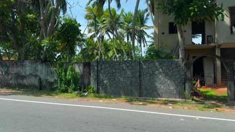 tropical roadside scene with abandoned buildings and overgrowth
