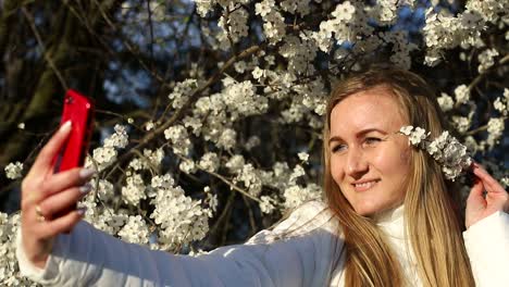 girl in a white jacket sniffs the color of trees in the spring blonde girl in a white mask makes a selfie on a background of flowering fruit trees photos for social networks