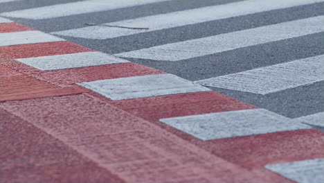 closeup pedestrian crossing lines on asphalt road. town movement regulation.