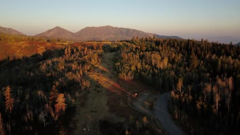 Empuje-Aéreo-De-Hojas-De-Otoño-En-El-Bosque-De-Uinta-En-Utah-Durante-El-Amanecer