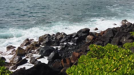 Hd-Cámara-Lenta-Hawaii-Kauai-Estática-De-Las-Olas-Del-Océano-Rompiendo-De-Izquierda-A-Derecha-En-Las-Rocas-A-Lo-Largo-De-La-Costa-Con-Arbustos-En-Primer-Plano-Inferior-Derecho