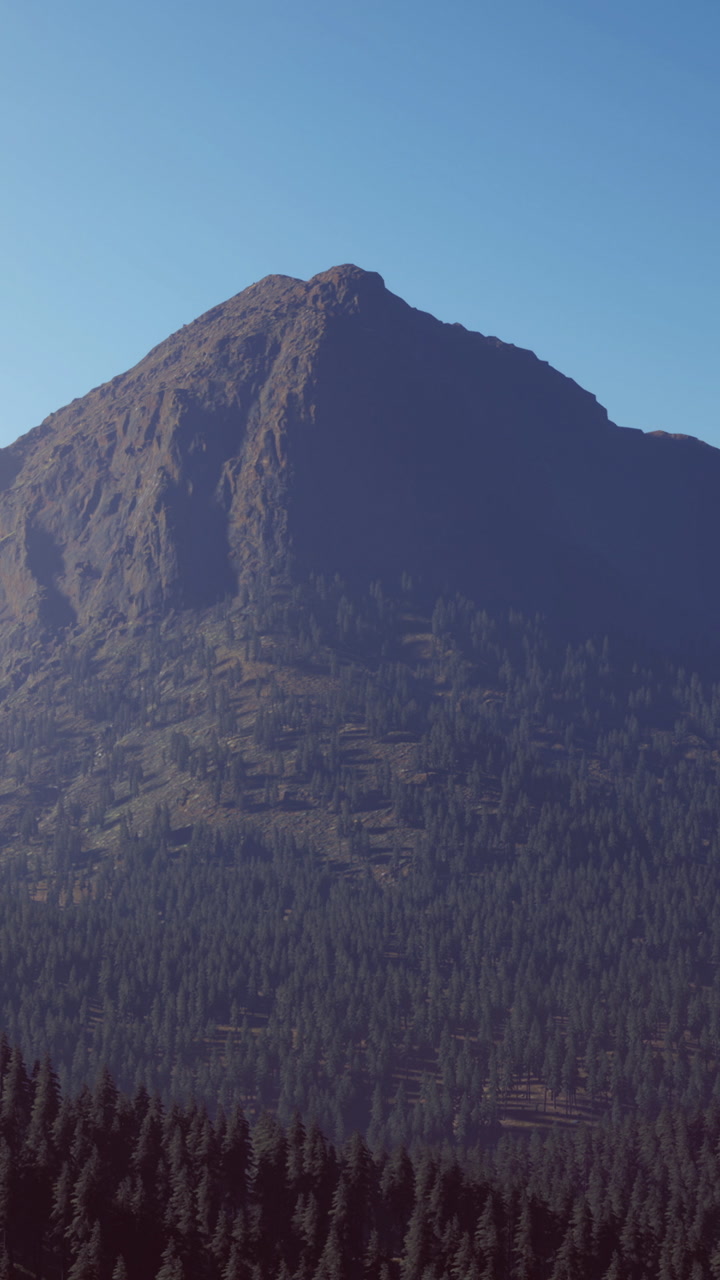 View of a mountain with trees in the foreground taken during daylight hours