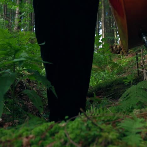 girl with her cello in nature