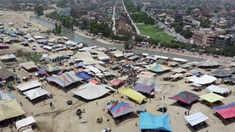 el mercado de vacas de jalalabad