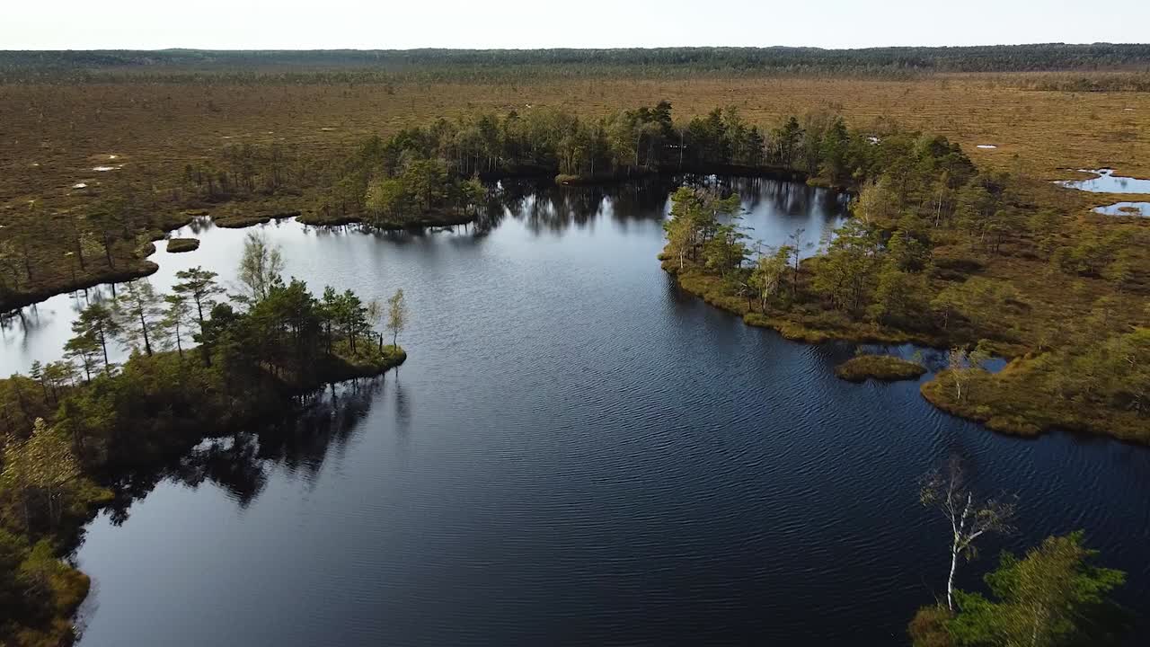 Aerial birdseye view of Dunika peat bog with small ponds in sunny autumn day, wide high altitude drone shot moving backwards
