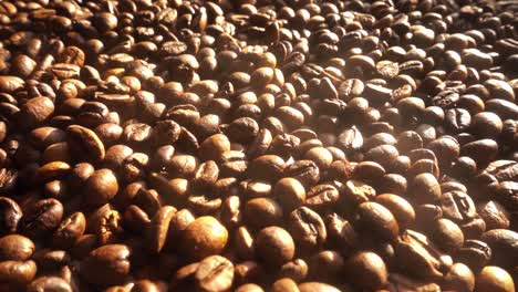 Close-up-of-seeds-of-coffee