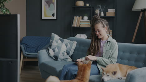 woman relaxing on couch with dogs and watching tv