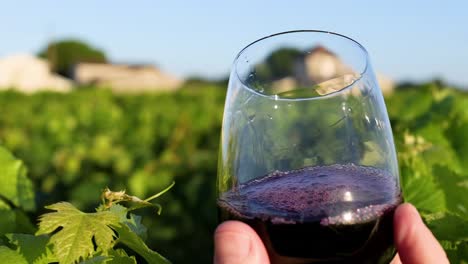 a hand holds a glass of red wine against a backdrop of vibrant vineyard leaves under a clear sky.