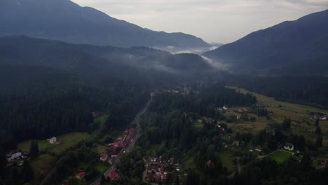 Aerial-view-from-a-drone-of-a-reforested