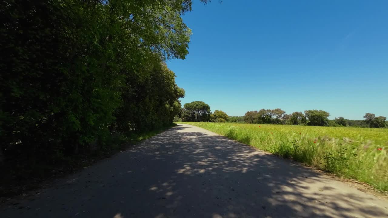 POV shot from the handlebars of a road cyclist riding along a treeline of a remote country road, Catalunya, Spain