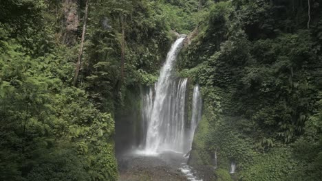 la brumosa cascada de tiu kelep cae a través del frondoso follaje de la selva de lombok
