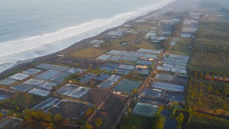 Aerial-view-of-salt-extraction-on-the-beach