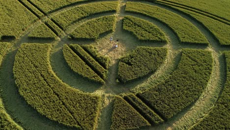 Hackpen-hill-strange-crop-circle-pattern-in-rural-grass-farming-meadow-aerial-view-descending-shot