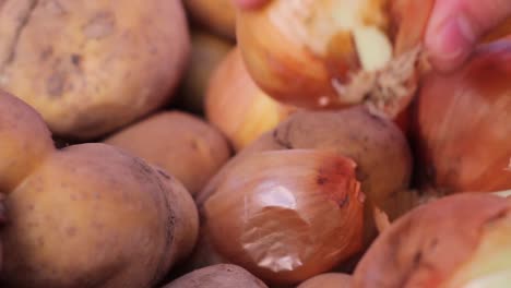 Shopping-Vegetable-In-Greengrocer-1