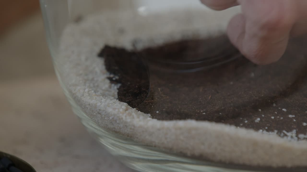 젊은 여성 식물학자는 유리 테라리움에 작은 살아있는 숲 생태계를 만듭니다.