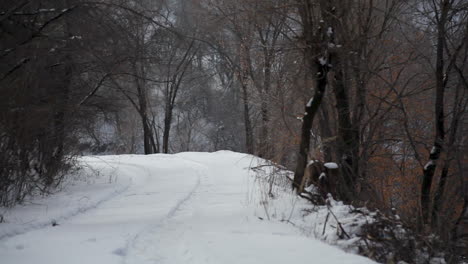 Remote snowy road in Kazakhstan