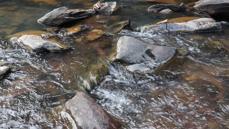 close up shot of stones in riverbed