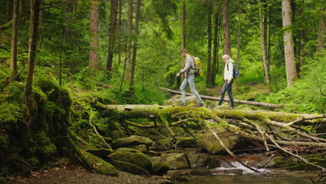 Zwei-Touristen-überqueren-Den-Bergfluss-Entlang-Eines-Umgestürzten-Baumabenteuers-Und-Einer-Aktiven-Lebensweise-4k-Vi