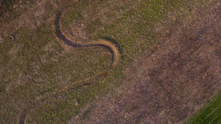 Ripresa aerea ascendente e rotante di un campo agricolo con i cervi in piedi