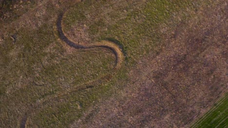 aerial ascending rotating shot of a farm field with the standing deers