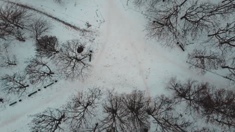 Bird's-eye-of-a-snowy-park-in-winter