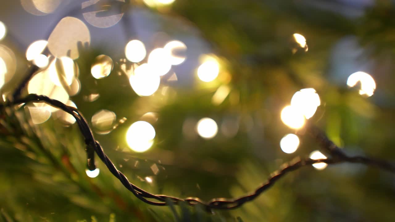 Defocused warm fairy bulbs sparkle through evergreen branches, creating dreamy golden bokeh, soft circular highlights, and a cozy festive glow