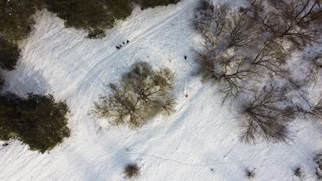 Vista-De-Arriba-Hacia-Abajo-De-Las-Personas-Que-Mantienen-La-Distancia-Social-En-El-Bosque-De-Invierno