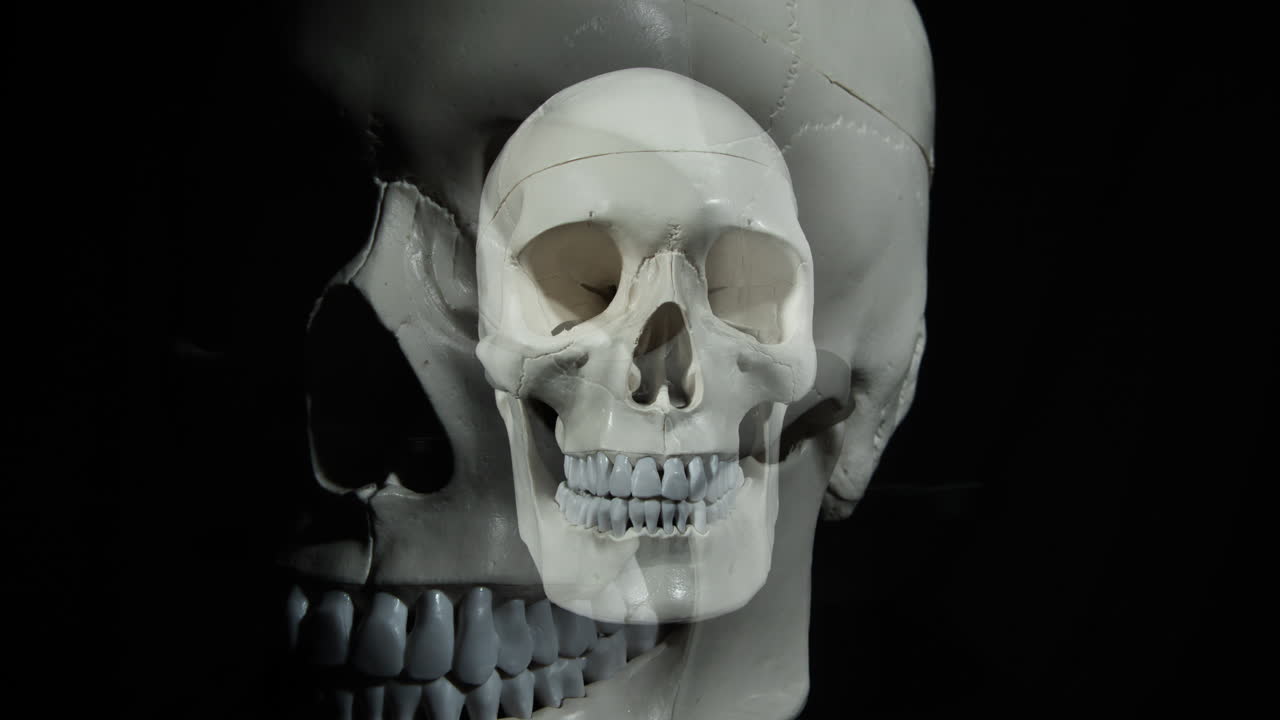 cranio umano che diventa nero