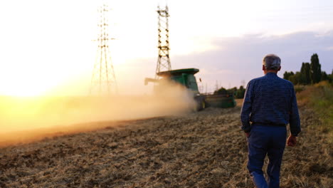 Unrecognized man wearing blue shirt and trousers walks in the agricultural field. Agrarian follows the combine harvester working in wheat plantation at sunset