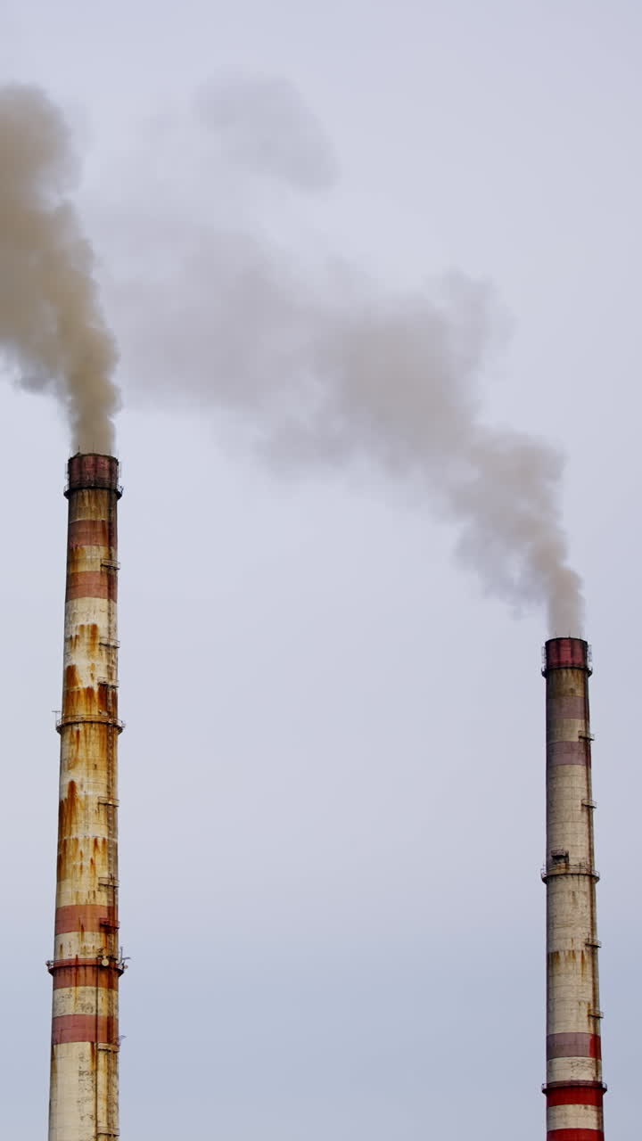 Industrial zone with large pipes. Thick white smoke is pouring in contrast to the sun. Pollution of the environment. Vertical video